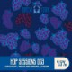 Brew York - Hop Sessions 003