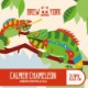 Brew York - Calmer Chameleon