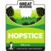 Great Newsome - Hopstice