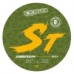 Neon Raptor - Sabretooth