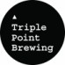 Triple Point - Triglav