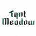 Tynt Meadow - English Trappist Ale